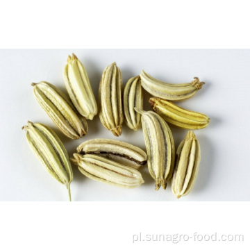 Fine Natural Fennel Seeds